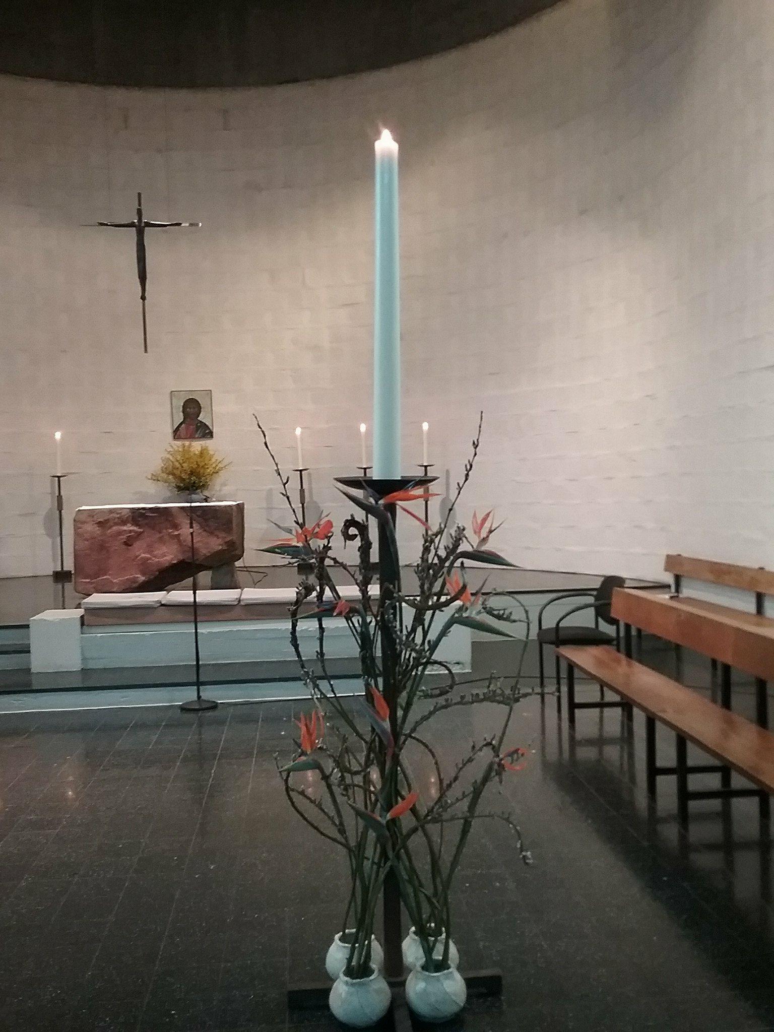 29943374_10215651219938683_399888813_o