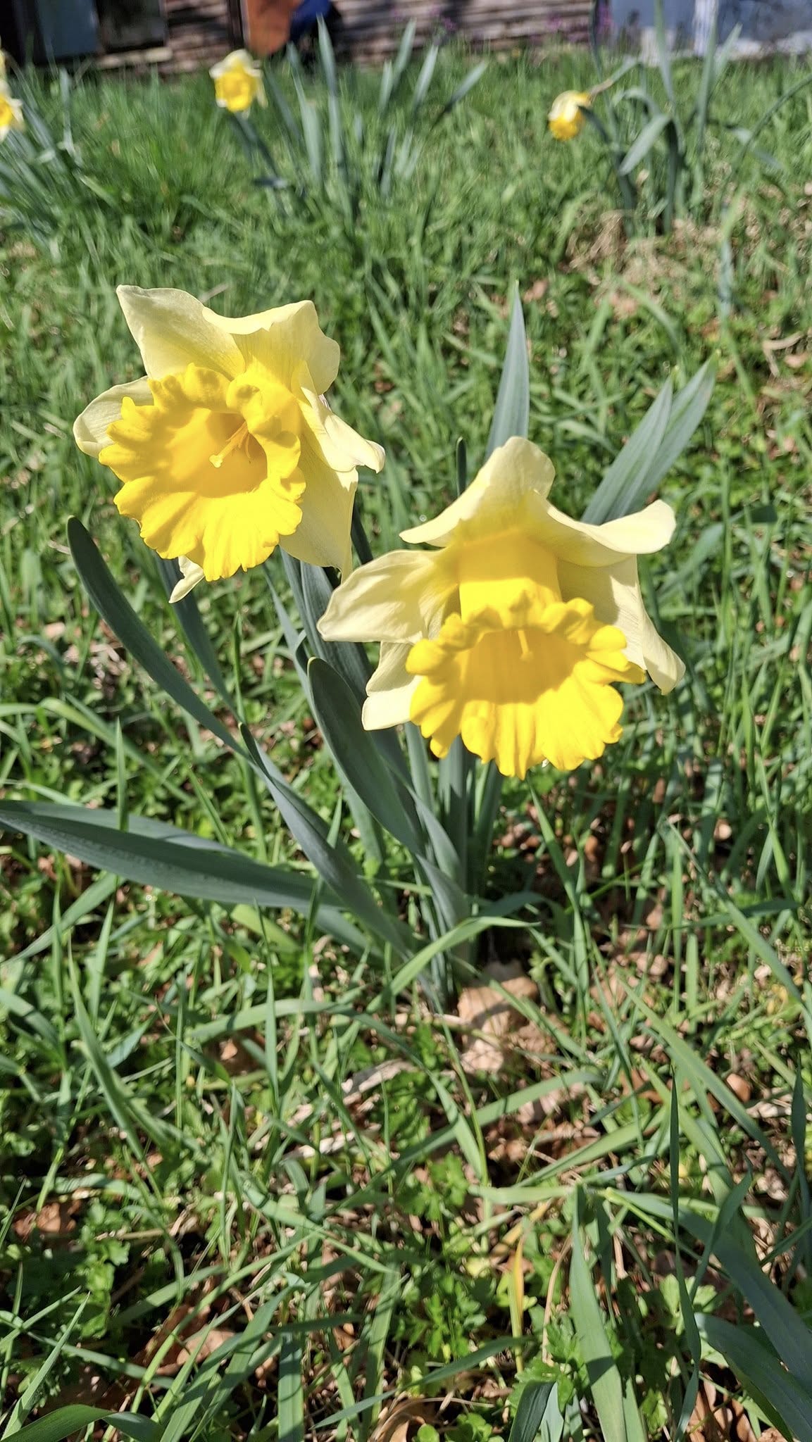08032026